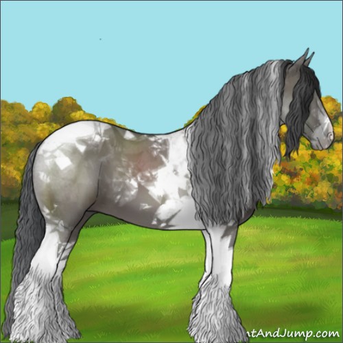 Horse Color:Grullo Tobiano 