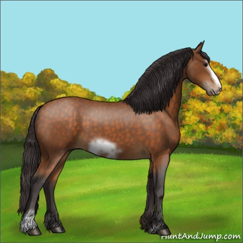 Horse Color:Buckskin Roan Sabino Frame 