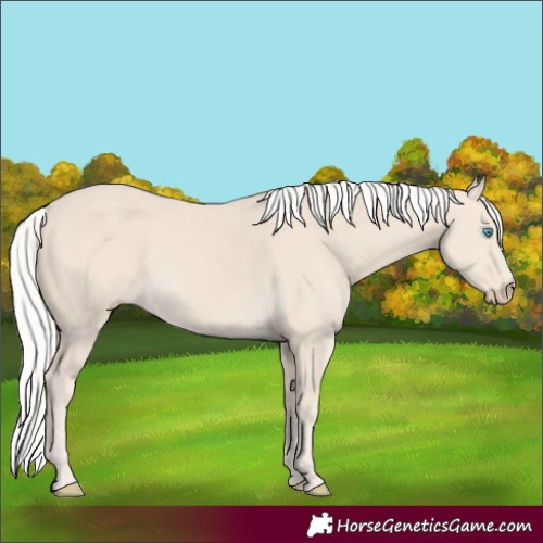Horse Color:Silver Smoky Creme 