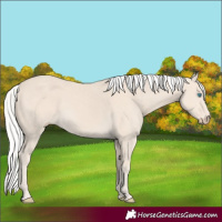 Horse Color:Silver Smoky Creme 