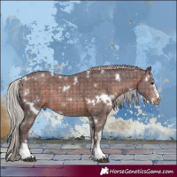 Horse Color:Plaid White Spotted Silver Brown Sabino