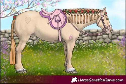 Horse Color:Gold Champagne Dun 