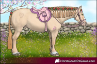 Horse Color:Gold Champagne Dun 