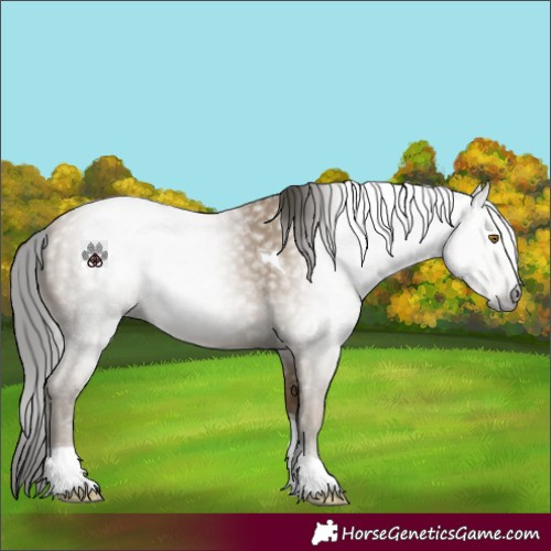 Horse Color:Gray Classic Cream Champagne Tobiano 