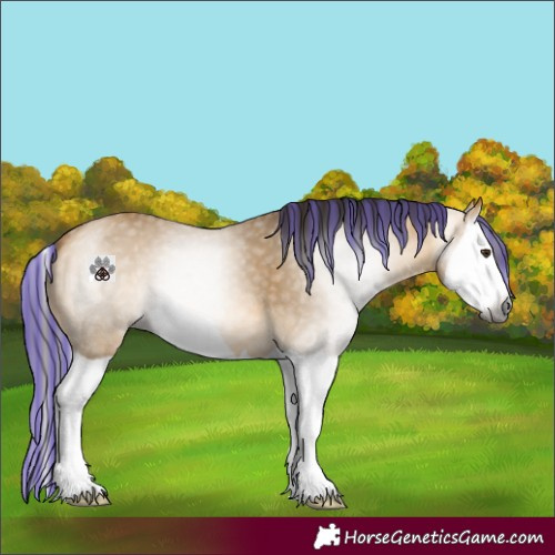 Horse Color:Gray Painted Buckskin Dun Splash 