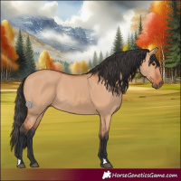Horse Color:Bay Dun Rabicano