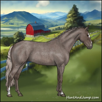 Horse Color:Silver Blue Roan Sabino 