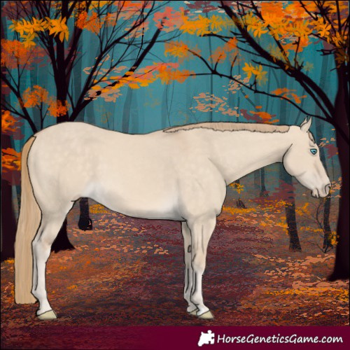 Horse Color:Perlino Dun 