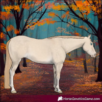 Horse Color:Perlino Dun