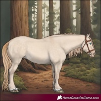 Horse Color:Perlino Dun