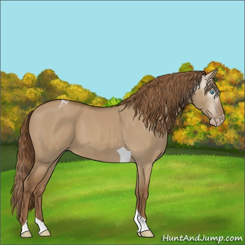 Horse Color:Gray Smoky Creme Dun Tobiano 