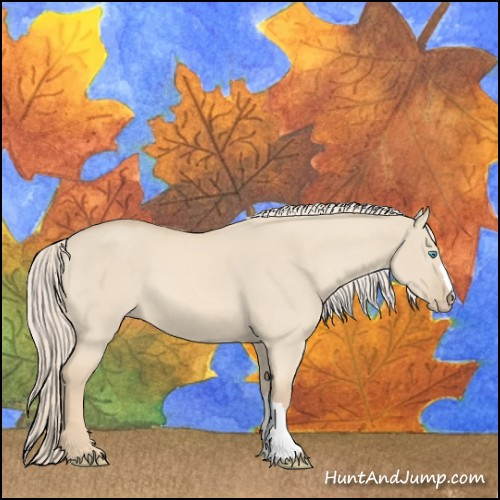 Horse Color:Cremello Dun 