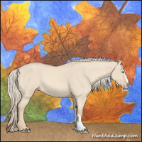 Horse Color:Cremello Dun 