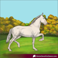 Horse Color:Cremello Dun 