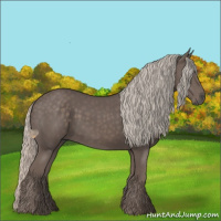 Horse Color:Silver Black 