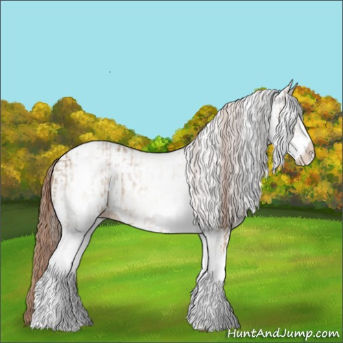 Horse Color:White Spotted Red Dun Rabicano  and White Spotted Red Dun Rabicano 