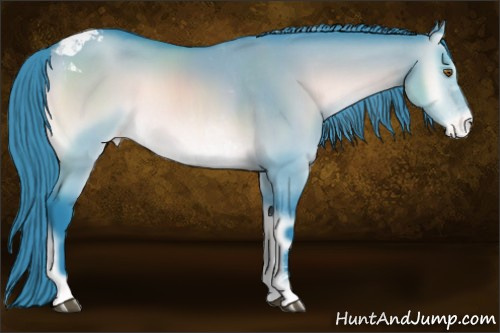 Horse Color:Watercolor Brown Chinchilla Onyx Tobiano Appaloosa 
