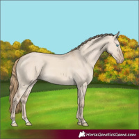 Horse Color:Smoky Creme Dun 
