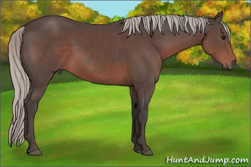 Horse Color:Silver Black 