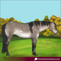 Horse Color:White Spotted Brown Dun Mushroom Rabicano 