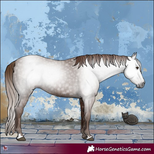 Horse Color:Gray Chestnut 