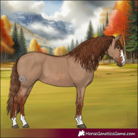 Horse Color:Red Dun