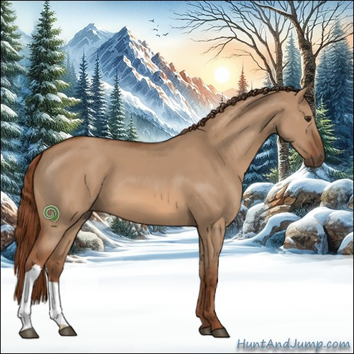 Horse Color:Red Dun 
