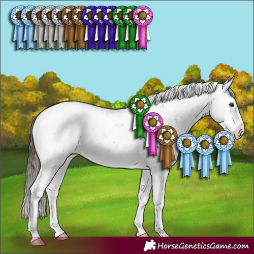 Horse Color:Liver Chestnut Sabino