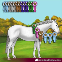 Horse Color:Liver Chestnut Sabino