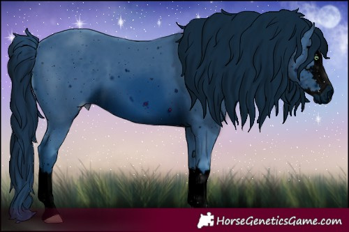 Horse Color:ERROR: UNKNOWN ANOMALY