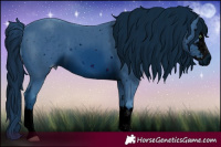 Horse Color:ERROR: UNKNOWN ANOMALY