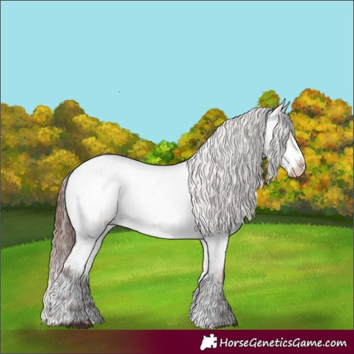 Horse Color:Chocolate Brown Roan Dun Sabino Splash Varnish