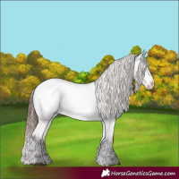 Horse Color:Chocolate Brown Roan Dun Sabino Splash Varnish 