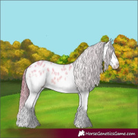 Horse Color:Watercolor White Spotted Brown Ice Dun Splash Appaloosa