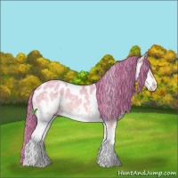 Horse Color:Watercolor White Spotted Brown Ice Dun Splash Appaloosa 