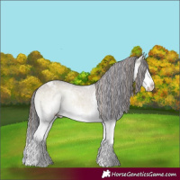 Horse Color:Painted White Spotted Brown Ice Onyx Splash Appaloosa 
