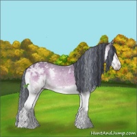 Horse Color:Painted White Spotted Brown Ice Onyx Splash