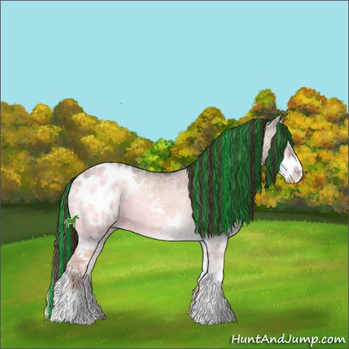 Horse Color:Painted White Spotted Brown Ice Onyx Splash Appaloosa