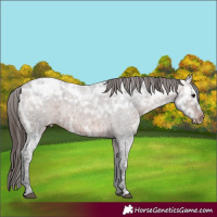 Horse Color:Brown Ice Roan Varnish