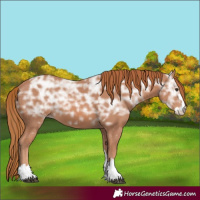 Horse Color:Chestnut Ice 