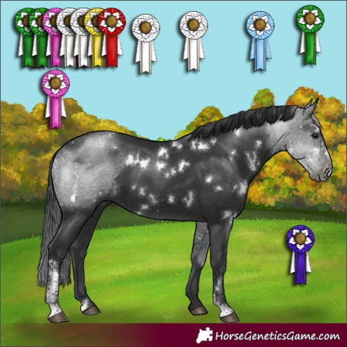 Horse Color:White Spotted Black Sabino
