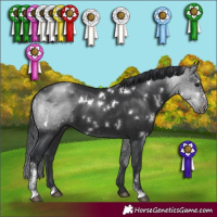 Horse Color:White Spotted Black Sabino