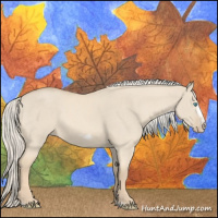 Horse Color:Cremello Dun Frame 