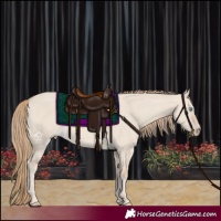 Horse Color:Smoky Creme Dun