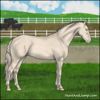 Horse Color:Cremello Dun 