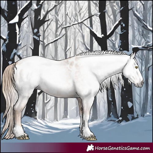 Horse Color:Gray Gold Champagne Roan Tobiano Frame Blanket