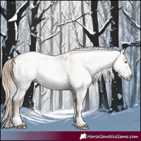 Horse Color:Gray Gold Champagne Roan Tobiano Frame Appaloosa 