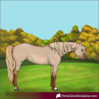 Horse Color:Red Dun 