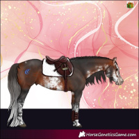 Horse Color:Bay Tobiano  and White Spotted Bay 