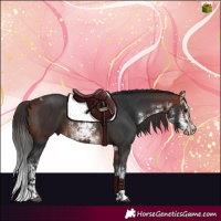 Horse Color:Bay Tobiano  and White Spotted Bay 